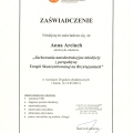 Powiększ obraz: certificate 1