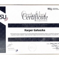 Powiększ obraz: certificate 2