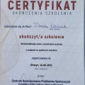 Powiększ obraz: certificate 7
