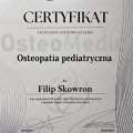 Powiększ obraz: certificate 8