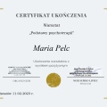 Powiększ obraz: certificate 2