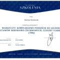 Powiększ obraz: certificate 9