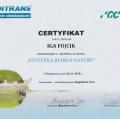 Powiększ obraz: certificate 4