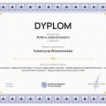 Powiększ obraz: certificate 6