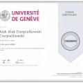 Powiększ obraz: certificate 8