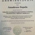 Powiększ obraz: certificate 26