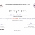 Powiększ obraz: certificate 4