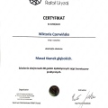 Powiększ obraz: certificate 1