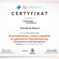 Powiększ obraz: certificate 4