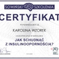 Powiększ obraz: certificate 2