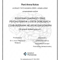 Powiększ obraz: certificate 5