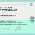 Powiększ obraz: certificate 11