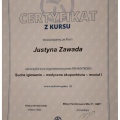 Powiększ obraz: certificate 4