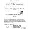 Powiększ obraz: certificate 4