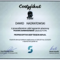 Powiększ obraz: certificate 8