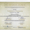 Powiększ obraz: certificate 10