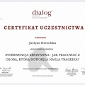 Powiększ obraz: certificate 2