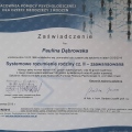 Powiększ obraz: certificate 4