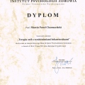 Powiększ obraz: certificate 3
