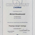 Powiększ obraz: certificate 8