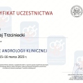 Powiększ obraz: certificate 12