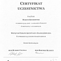 Powiększ obraz: certificate 13