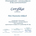 Powiększ obraz: certificate 8