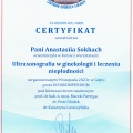 Powiększ obraz: certificate 2