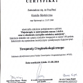 Powiększ obraz: certificate 13