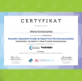 Powiększ obraz: certificate 8