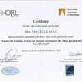 Powiększ obraz: certificate 7