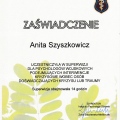 Powiększ obraz: certificate 17