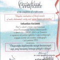 Powiększ obraz: certificate 8