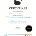 Powiększ obraz: certificate 10