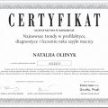 Powiększ obraz: certificate 9