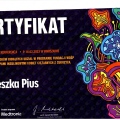 Powiększ obraz: certificate 8
