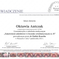 Powiększ obraz: certificate 13