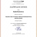 Powiększ obraz: certificate 5