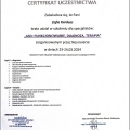 Powiększ obraz: certificate 9