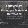 Powiększ obraz: certificate 1