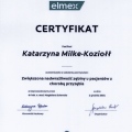 Powiększ obraz: certificate 3