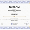 Powiększ obraz: certificate 2