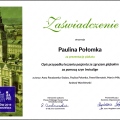 Powiększ obraz: certificate 11
