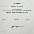 Powiększ obraz: certificate 3