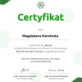 Powiększ obraz: certificate 2