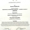 Powiększ obraz: certificate 2