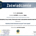Powiększ obraz: certificate 4
