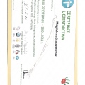 Powiększ obraz: certificate 4