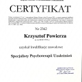 Powiększ obraz: certificate 2