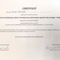 Powiększ obraz: certificate 26